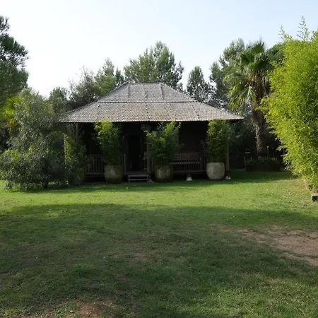 Bali Llofríu